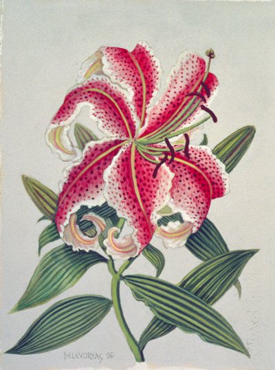 Botanical Lily, 1996 by Lillian Delevoryas